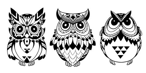 owls vector art  vector cdr  axisco