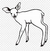 Doe Antlers sketch template