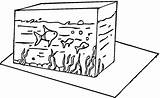 Aquarium Acquario Akwarium Kolorowanki Colorear Ryby Fisch Kolorowanka Disegno Ausmalbild Acuario Dzieci Peces Pesci Ausmalen Fische Tegninger Pesciolini Rybki Fisk sketch template