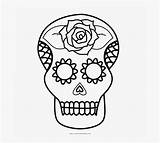 Calavera Clipartkey Kindpng sketch template