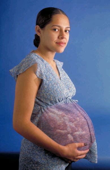 Pregnant Women With Twins Wordpress Blog