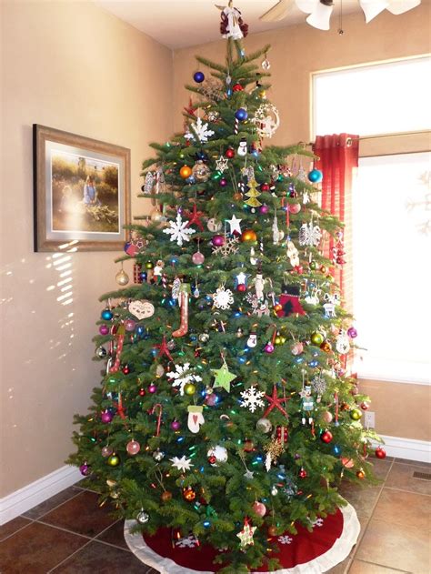 brad holly shafer family  christmas tree