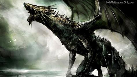 real dragon wallpapers top  real dragon backgrounds wallpaperaccess