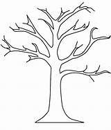 Pecan Tree Getdrawings Drawing sketch template