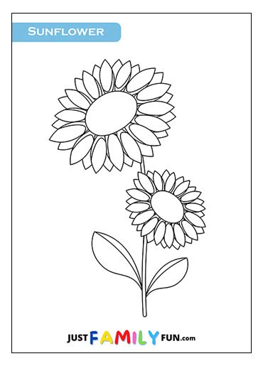 printable simple sunflower outline  family fun
