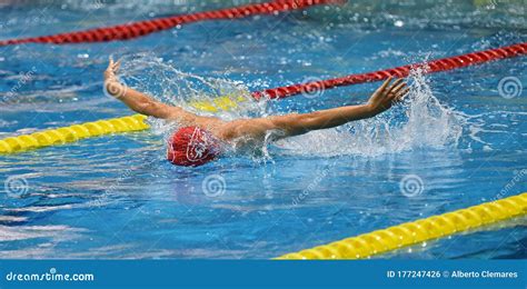 swimmer   outdoor pool stock photo image  sport