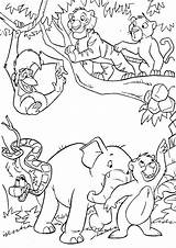 Jungle Coloring Animal Pages sketch template