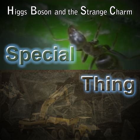 special  higgs boson   strange charm
