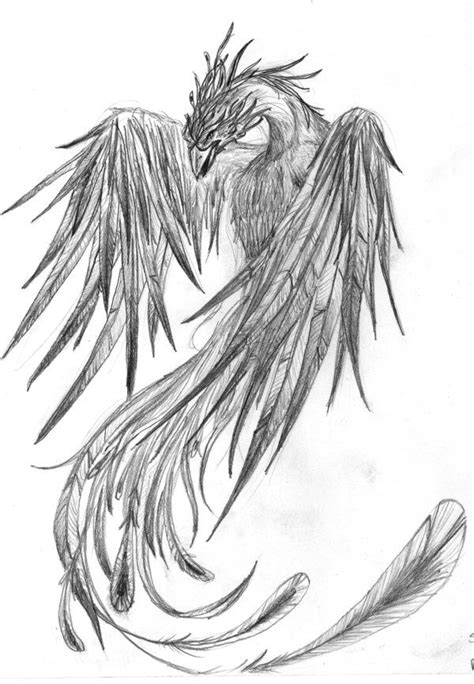 phoenix ideas  pinterest phoenix tattoos phoenix drawing