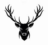 Stags Stencils Stag sketch template