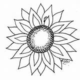 Sunflower Printable Template Clipart Clip Outline Line Flower Cliparts Patterns Cut Library Challenge Drawing Draw Wikiclipart Followers Box Make Sunshine sketch template