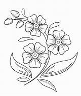 Flower Draw sketch template