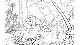 Rainforest Coloring Pages Animals Tropical Layers Color Print Kids Drawing Printable Getcolorings Adults Getdrawings Colorings Template sketch template