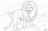 Lion Coloring Pages African Printable Color Colouring Lions Animal Animals Print Outline Book Wild Safari Adult Drawings Ipad Compatible Tablets sketch template