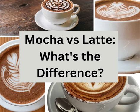 mocha  latte exploring  rich world  coffee delights drizzle