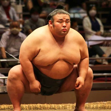 answers  sumo wrestlers