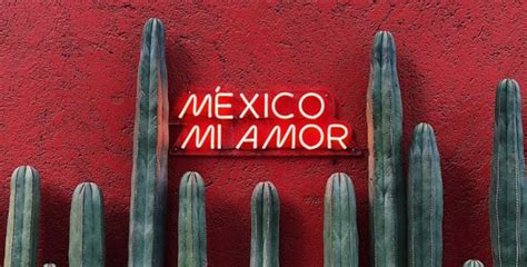mexico sign travel  path