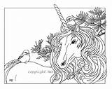 Coloriage Licornes Adults Coloriages Unicorns Chickadees Licorne sketch template