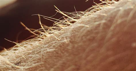 amazing science  hair growth hena