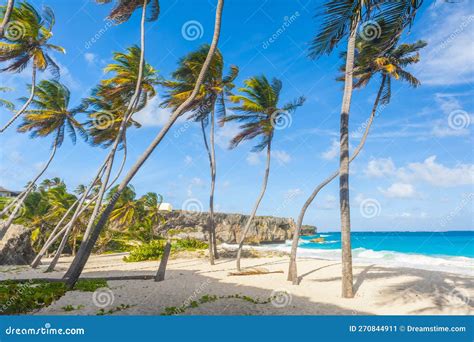 Bottom Bay Beach In Barbados Stock Image Image Of Paradise Scenic