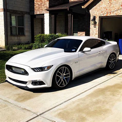 white  ford mustang gt   whp  wtq  sale mustangcarplace