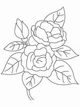 Camellia Coloring Flower Pages Growing Flowers Kids Recommended Choose Board Bestcoloringpages sketch template
