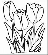 Flowers Spring Clipart Clip Flower Coloring Pages Clipartmag sketch template