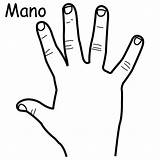 Coloring Mano Hand Para Parts Human Organs Colorear Dibujo Pintar Con Pages Pictogramas sketch template