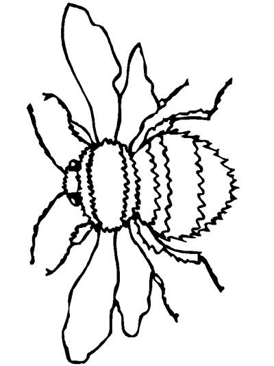 bumblebees coloring pages