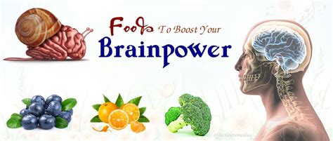15 Best Foods To Boost Your Brainpower And Concentration