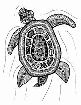 Zentangle Mandalas Visuales Texturas Tortugas Indulgy Visiter Tangle Turtles sketch template