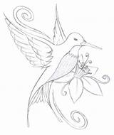 Hummingbird Coloring Drawing Pages Outline Easy Flower Drawings Bird Pencil Color Tattoo Simple Humming Printable Tattoos Sketch Flowers Hummingbirds Line sketch template