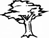 Tree Pohon Coloring Drawing Arbor Icon Clipart Hitam Clip Printable Kids Pixabay Sketch Putih Outline Sketsa Cliparts Pages Draw Donate sketch template
