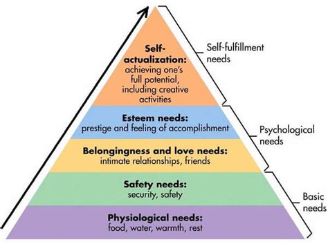 5 levels of maslow s hierarchy of needs rnspeak