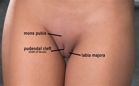 Sexy up close prominent labia