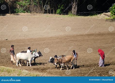 indian farmer family   field editorial stock image image