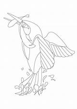 Kingfisher Coloring Colouring Pages Sheet Printable Getcolorings Adults Color Mental Health sketch template