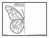 Symmetry Symetria Butterflies Symmetrical Motyl Artforkidshub Kolorowanka Maths Insect Menloparkart sketch template