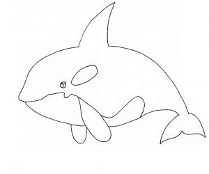 whale coloring pages images animal place
