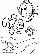 Nemo Dory Coloring Finding Marlin Colouring Pages Printable Disegni Ausmalbilder Disney Colorare Da sketch template