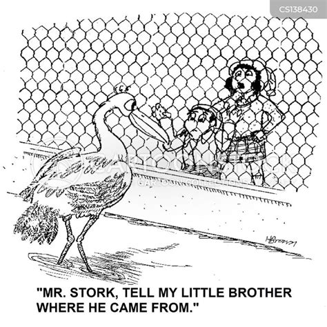 aviary cartoons and comics funny pictures from cartoonstock