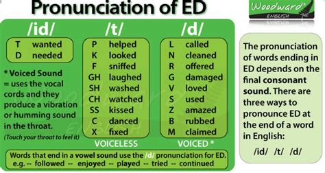 pronunciation of ed regular verbs live worksheet ~ mi pizarra con