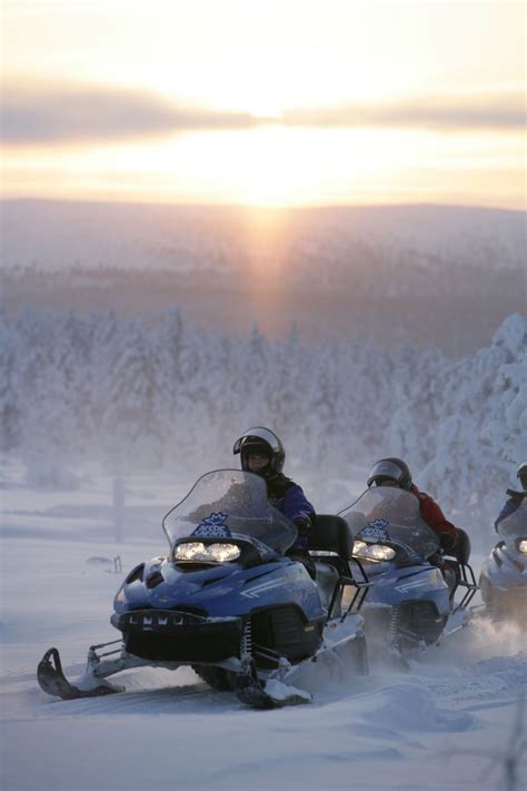 people riding  snowmobiles   snow  sunset  dawn  trees