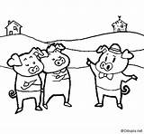Little Pigs Three Coloring Coloringcrew sketch template