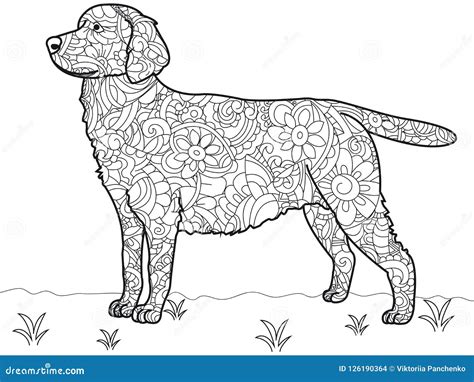 dog labrador antistress coloring book raster labrador stock