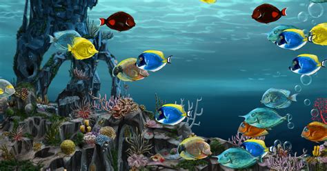 gambar animasi bergerak wallpaper ikan bergerak