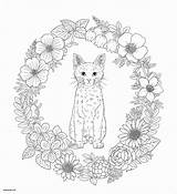 Mandala Coloring Cat Pages Animal Baby Adult Cry Book Melanie Martinez Harmony Flowers Cats Color Adults Vase Christmas Nature Flower sketch template