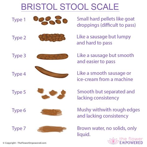 bristol stool scale     perfect  flower empowered