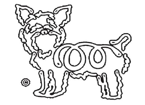yorkie coloring pages