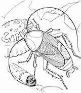 Cucaracha Basura sketch template